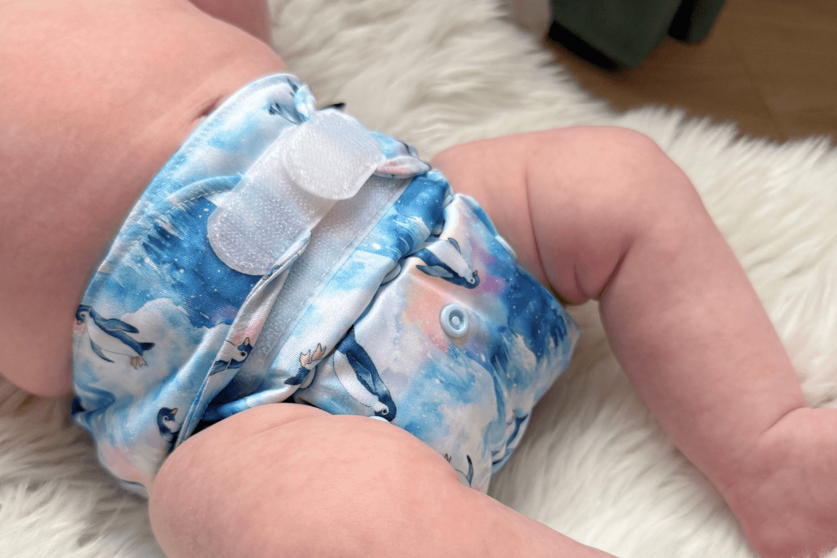 Booster répartiteur vs absorbant